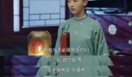 西安女士爆料新闻事件视频,揭秘背后真相